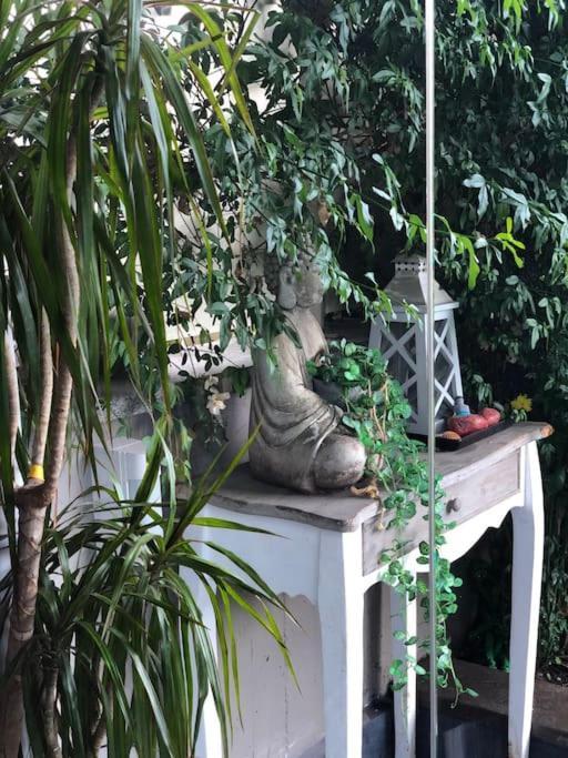 Alojamento de Acomodação e Pequeno-almoço Favoloso Con Giardino